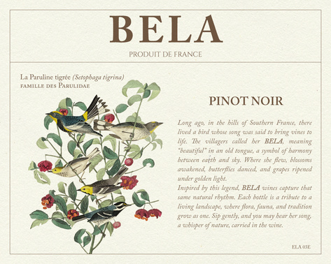 BELA Pinot Noir label illustration