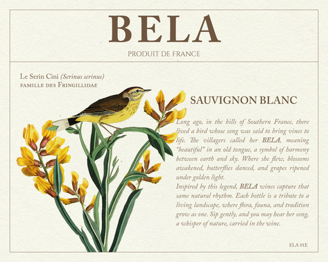 BELA Sauvignon Blanc label illustration